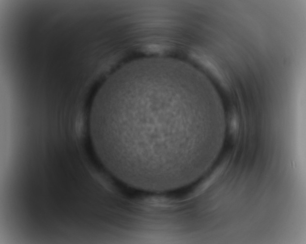 X0000092300408200709211235