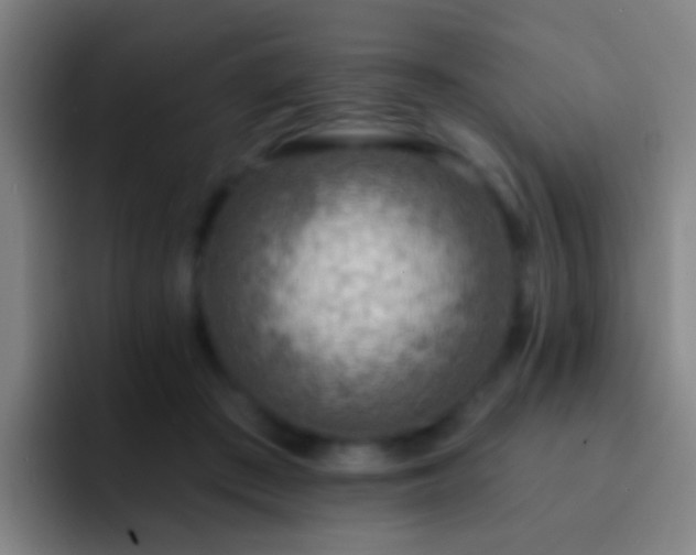 X0000092300409200709211235