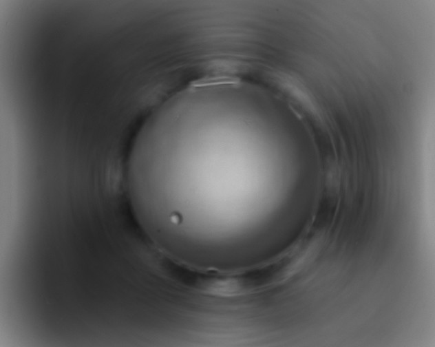X0000092300411200709211235