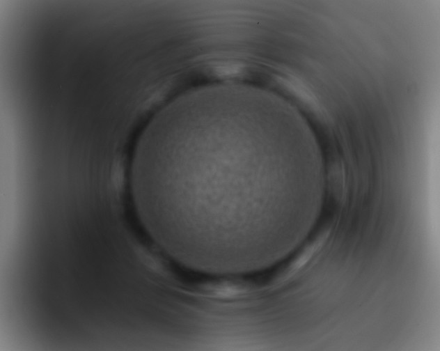X0000092300412200709211235