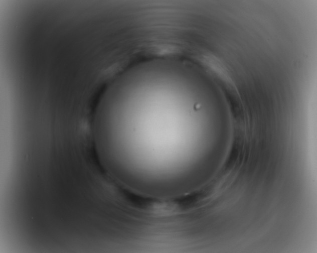 X0000092300415200709211235