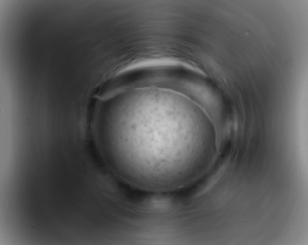 X0000092300416200709211235