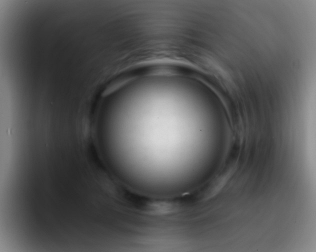 X0000092300417200709211235