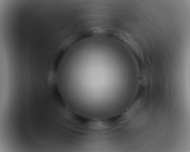 X0000092300419200709211235