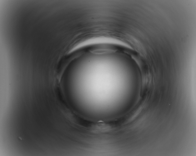X0000092300421200709211235