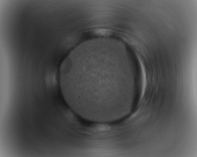 X0000092300424200709211235