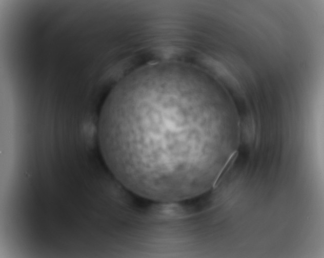 X0000092300427200709211235