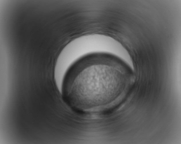 X0000092300428200709211235