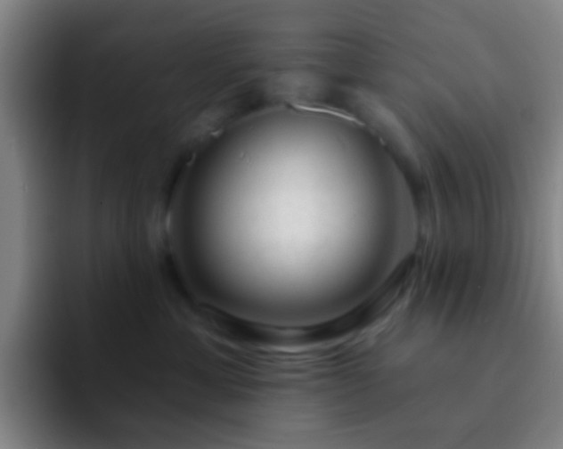 X0000092300429200709211235