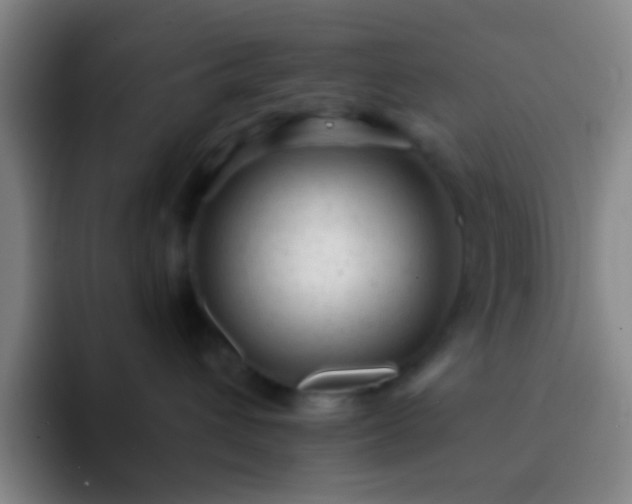 X0000092300432200709211234