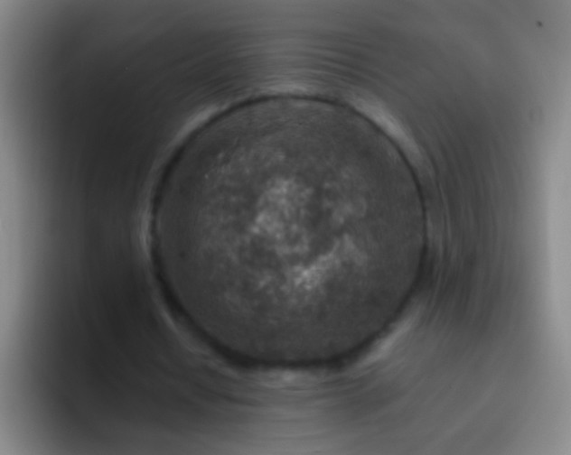 X0000092300434200709211234