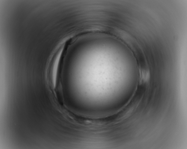 X0000092300435200709211234