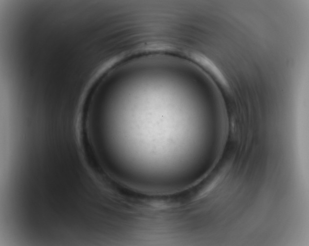 X0000092300436200709211234