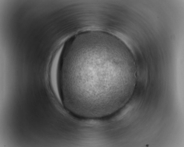 X0000092300437200709211234