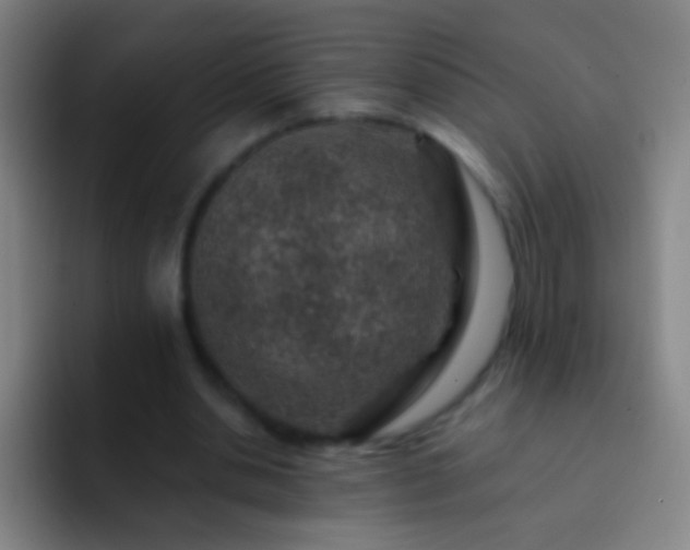 X0000092300438200709211234