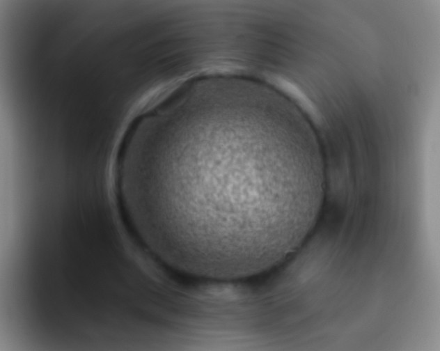 X0000092300439200709211234