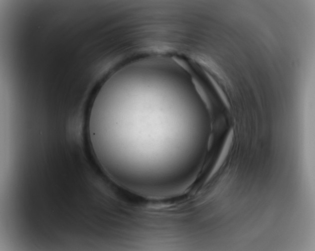 X0000092300440200709211234