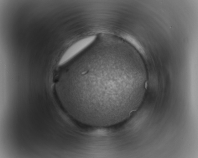 X0000092300441200709211234