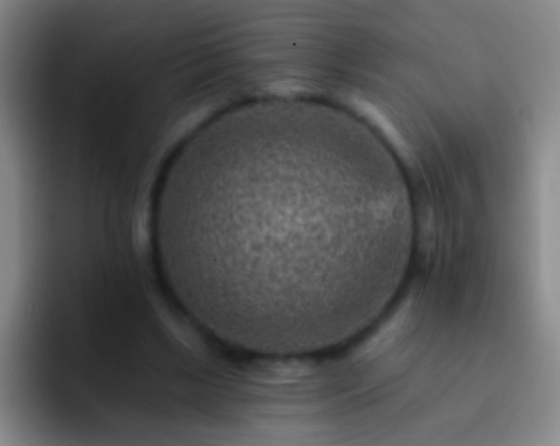 X0000092300443200709211234