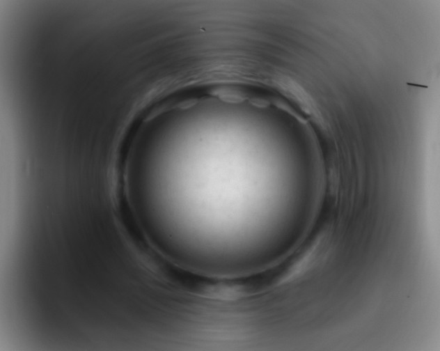 X0000092300444200709211234