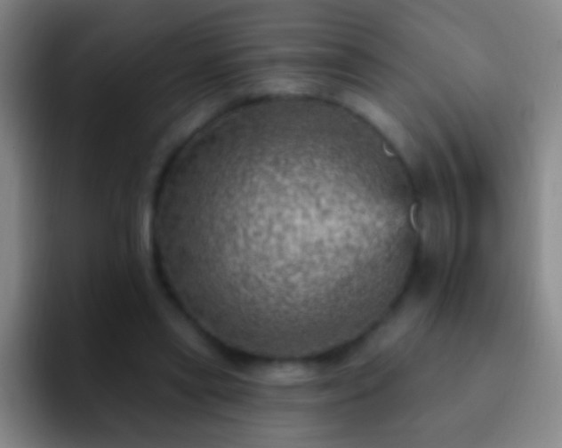 X0000092300445200709211234