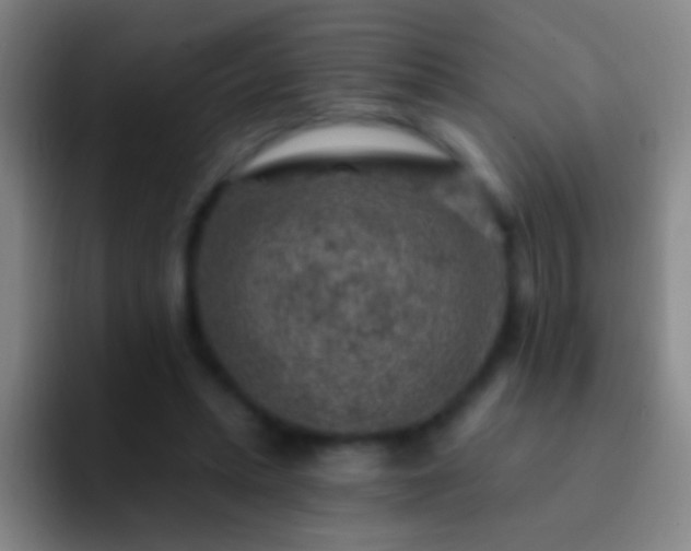 X0000092300447200709211234