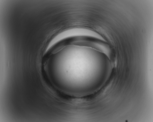 X0000092300448200709211234
