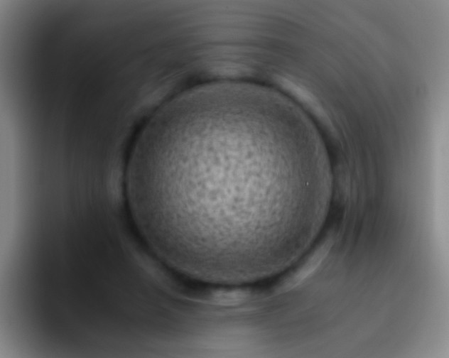 X0000092300450200709211234