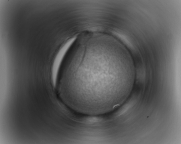 X0000092300453200709211234
