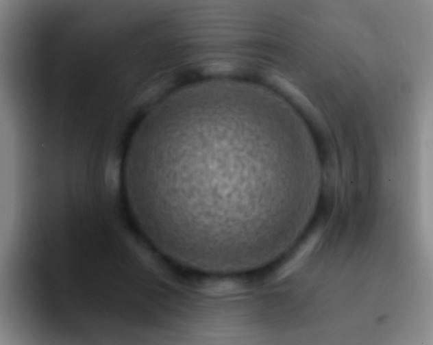 X0000092300454200709211234