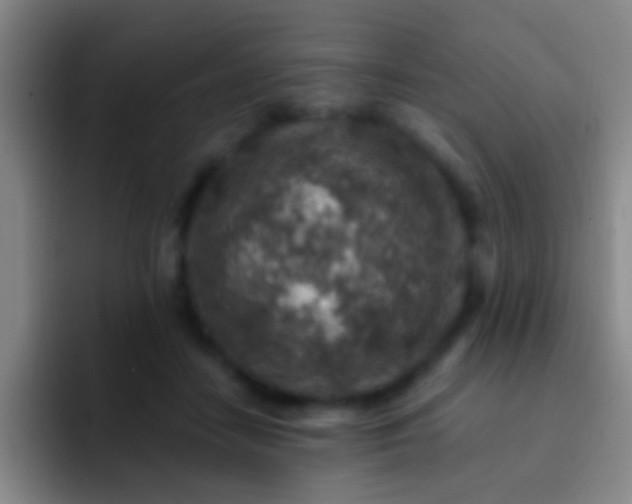 X0000092300458200709211234