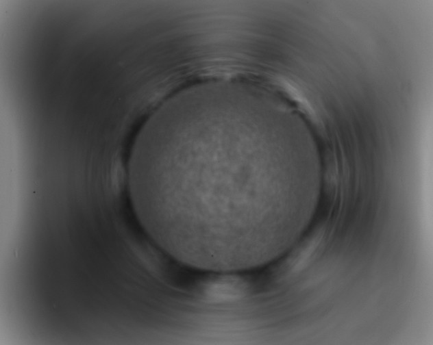 X0000092300459200709211234