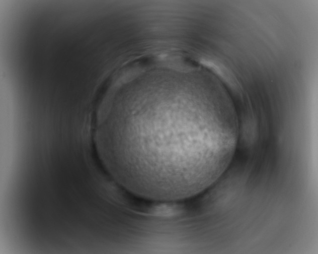 X0000092300461200709211234