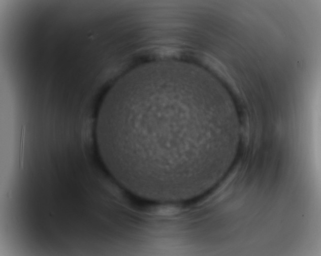 X0000092300462200709211234