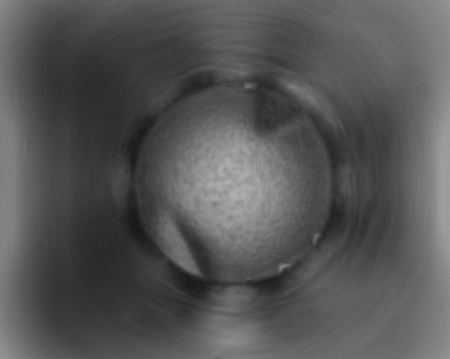 X0000092300463200709211234