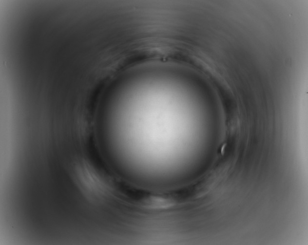 X0000092300464200709211234