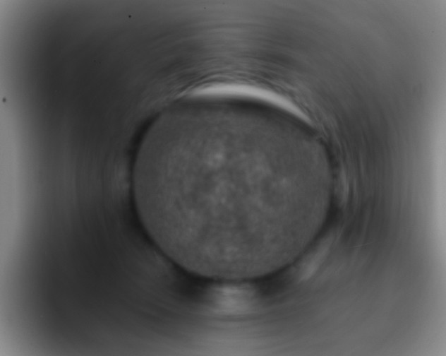 X0000092300466200709211234