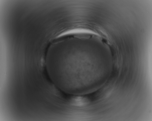 X0000092300467200709211234
