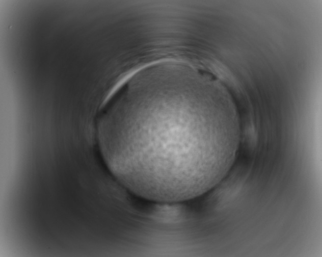 X0000092300469200709211234
