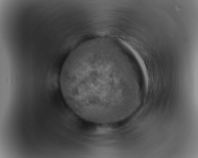X0000092300470200709211234
