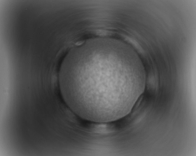 X0000092300473200709211234