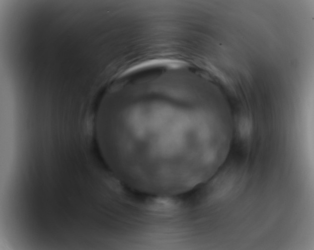 X0000092300475200709211234