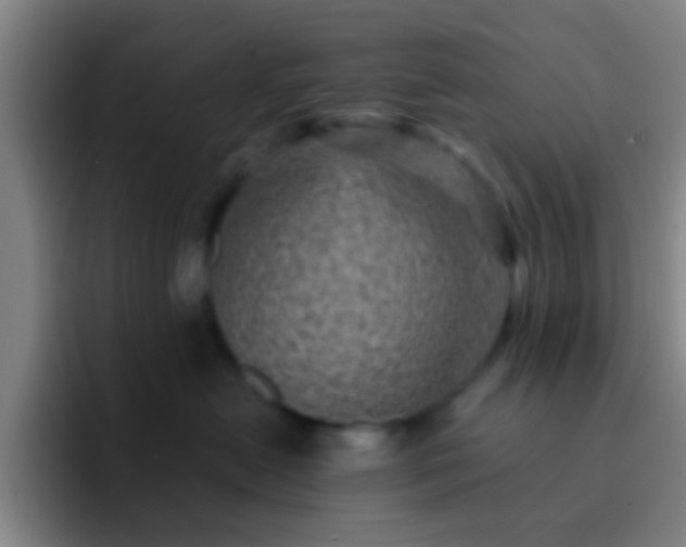 X0000092300478200709211234