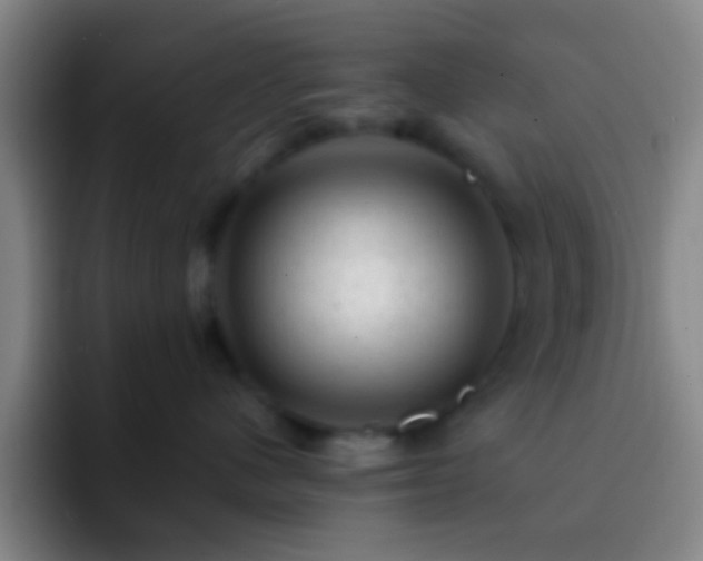 X0000092300480200709211234