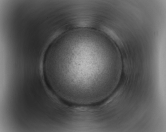 X0000092300482200709211234