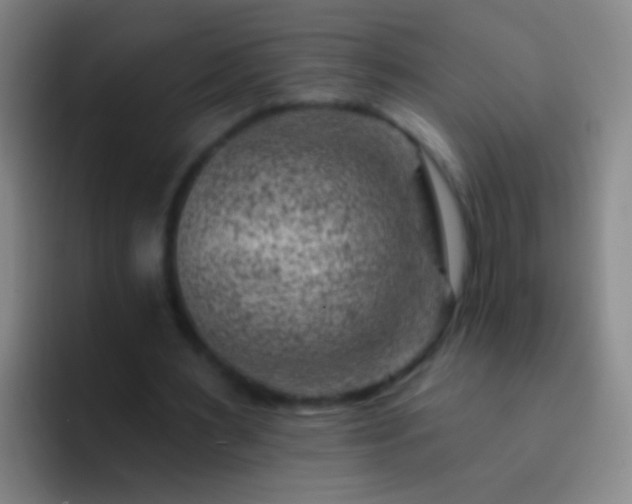 X0000092300483200709211234