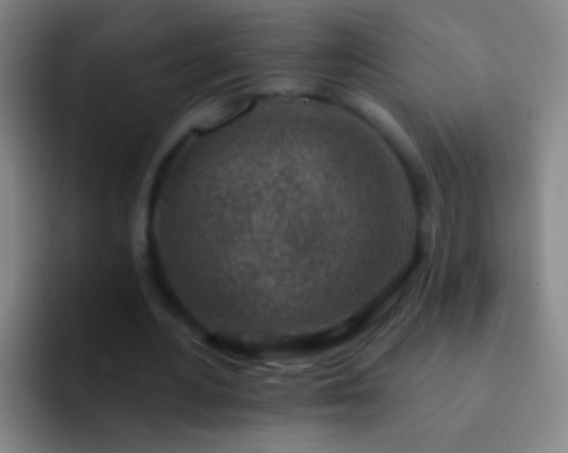 X0000092300484200709211234