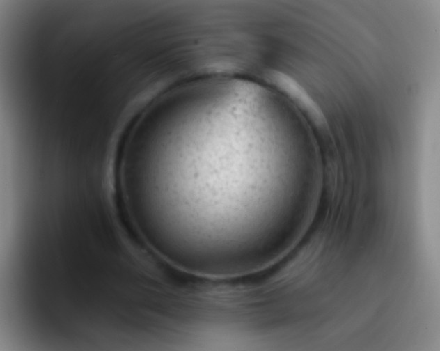 X0000092300486200709211234