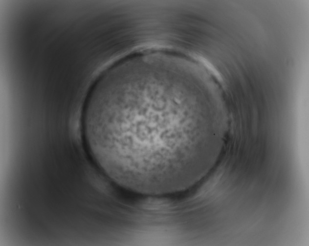 X0000092300487200709211234