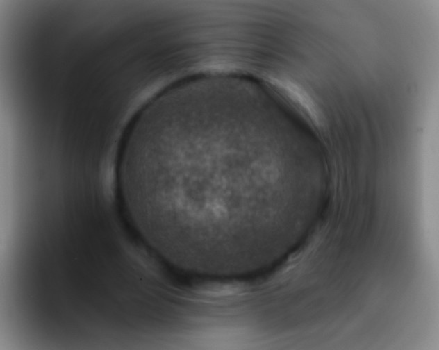 X0000092300488200709211234